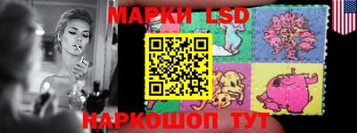 индика Кандалакша