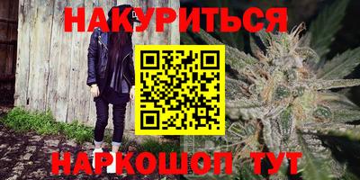 индика Кандалакша