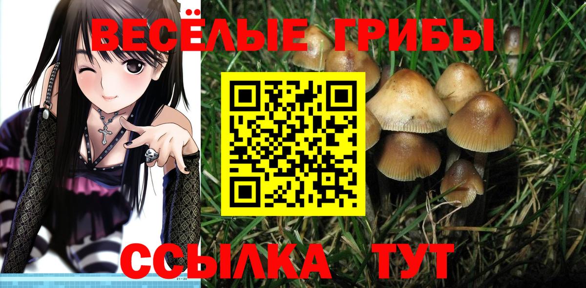 Псилоцибиновые грибы Magic Shrooms  Вход с VPN  Псилоцибиновые грибы Psilocybine cubensis  Кудымкар 
